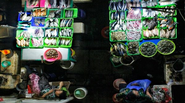 Ikan Bandeng Bekasi Dikenal Tak Bau, per Tahun Mampu Produksi 11 Ribu Ton