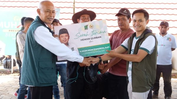 31 Ekor Hewan Qurban Didistribusikan ke Setiap Kecamatan, Tarya : Bentuk Kepedulian PKB