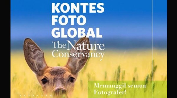 “Kontes Foto Global” Kembali Hadir di Agustus 2022