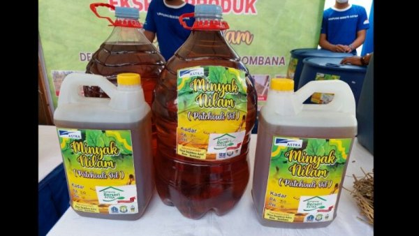 Program Desa Sejahtera Binaan IAIN Bone Eskpor Minyak Nilam 4,7 Miliar