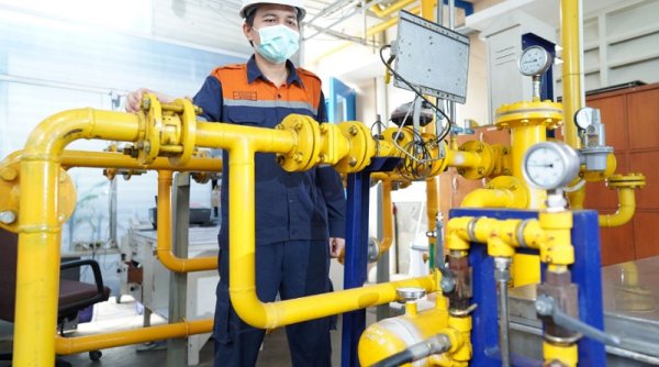Ekonom: Emiten Green Energy Berpeluang untuk Dikoleksi Investor