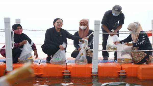 Puan: Ikan Harus Jadi Andalan Meningkatkan Kesejahteraan