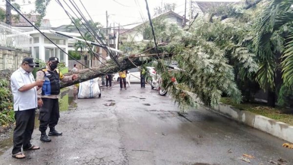 Masuki Musim Penghujan, Hindari Parkir di Bawah Pohon