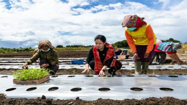 Prakiraan Cuaca dari BMKG Harus Jadi Acuan Produksi Tani