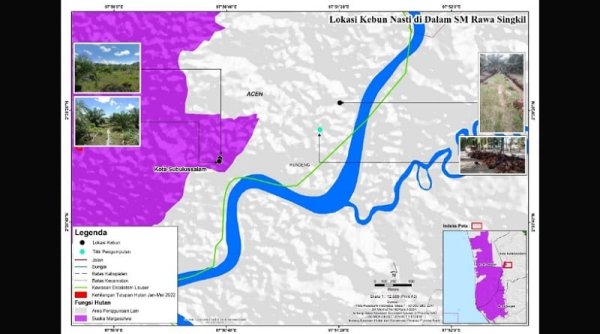 Perusakan Lahan Gambut di Suaka Margasatwa Rawa Singkil Terhubung dengan Perusahaan Raksasa Dunia