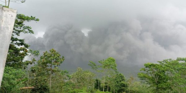 Dampak Amuk Semeru, Sebanyak 1.979 Jiwa Mengungsi