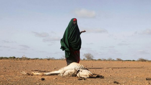 Lebih dari 8 Juta Orang di Somalia bakal Hadapi krisis Pangan tahun 2023