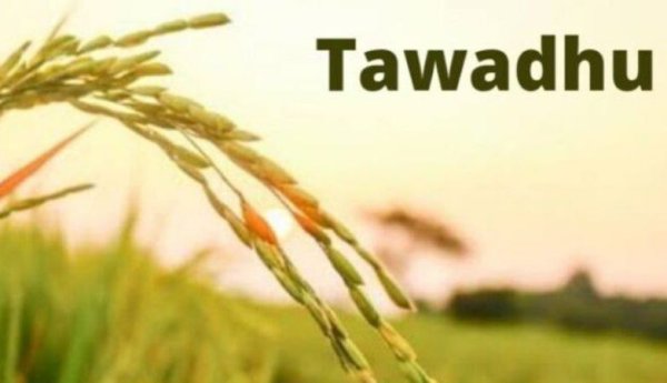 HIKMAH | Tawadu, Mengangkat Derajat