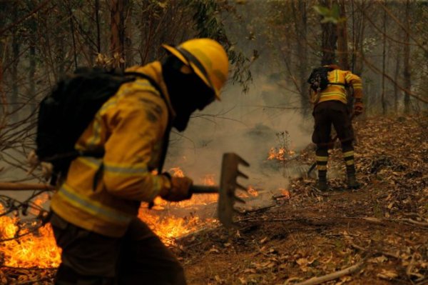 Sedikitnya 23 Tewas, Ratusan Luka-luka dalam Kebakaran Hutan di Chile