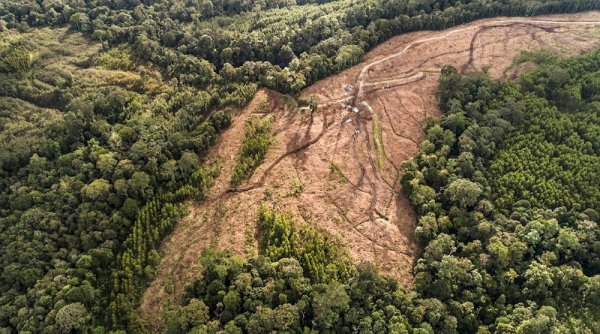 KSPPM dan AMAN Tano Batak Menolak Kehadiran Earthworm Foundation Konsultan PT. Toba Pulp Lestari