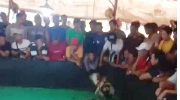 Sering Digerebek Polisi, Judi Sabung Ayam di Desa Gunungan Mojokerto Tetap Berjalan