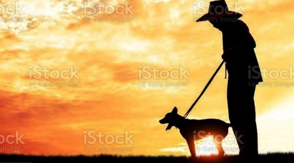 Kisah Petani dan Anjing Tetangga