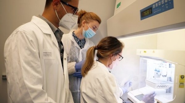 Peneliti University of Technology Sydney Kembangkan Metode Pengobatan Gagal Jantung dengan Memakai Jaringan yang Dibuat dengan Teknik "3D Printing"