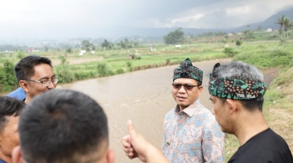 Kang DS Ungkap Lahan Sawah Dilindungi Hanya 17.000 Hektar