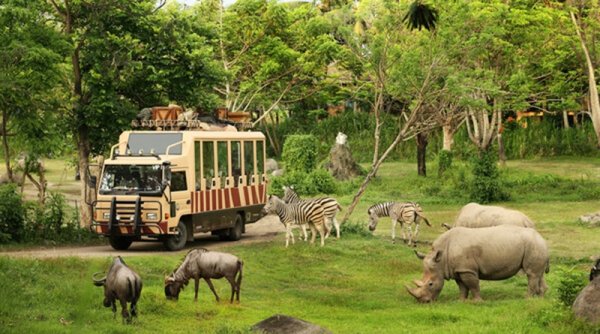 Libur Telah Tiba! Intip Serunya Berlibur Sambil Belajar di Bali Safari Park