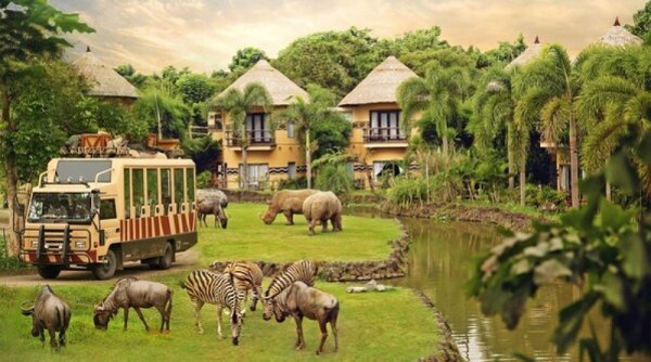 Seru dan Tidak Terlupakan, Liburan Sekolah di Bali Safari