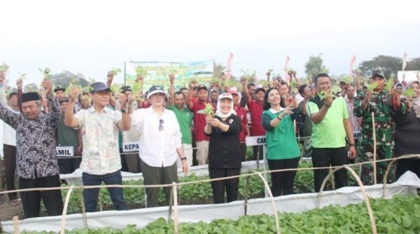 Bupati Bojonegoro Serahkan Bibit Tembakau kepada Petani, Berharap Bisa Panen Melimpah