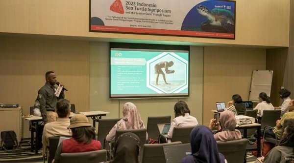 KKP Perkuat Program Konservasi Populasi Penyu