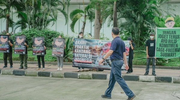 Aktivis Perlindungan Hewan Desak Subway Indonesia Segera Umumkan Komitmen Bebas Kandang Baterai dengan Tenggat Waktu yang Pasti