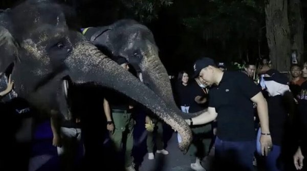 Surabaya Night Zoo Resmi Dibuka Warga Ber-KTP Surabaya Dapat Diskon 25 Persen