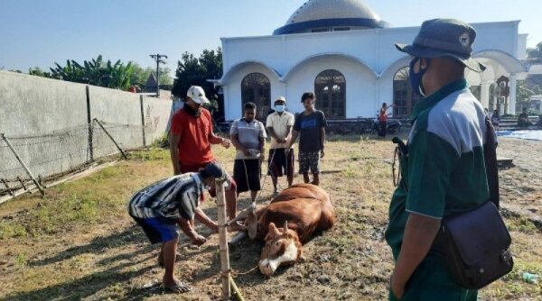 Disnakkan Bojonegoro Bagi-bagi Tips Penyembelihan Hewan Kurban