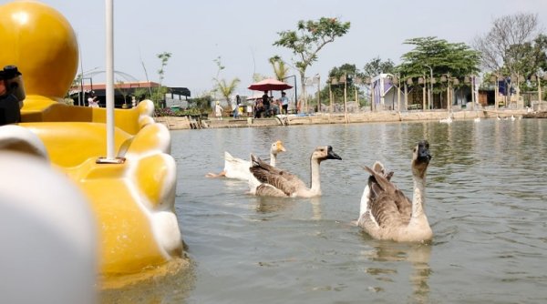 Cuma Bayar Rp. 10 Ribu, Ini Tempat Liburan Asyik di Arcamanik