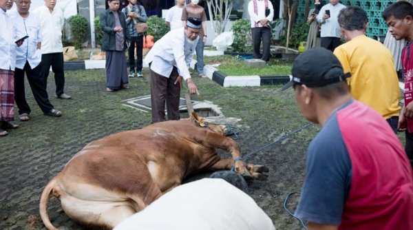 11.000 Hewan Qurban Disembelih di Kota Bandung