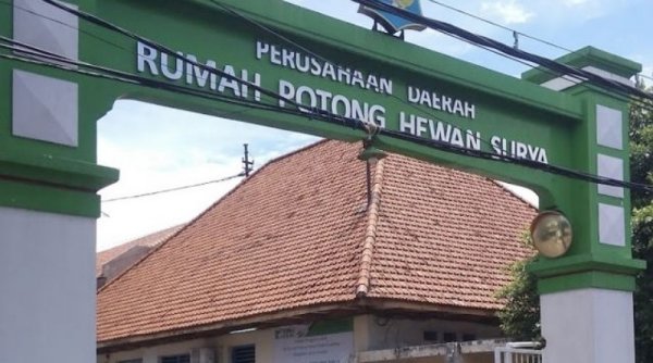 Pemotongan Hewan Qurban di RPH Surabaya Menurun, Ini Penyebabnya