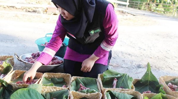 Tebar Hewan Kurban 1444H Dompet Dhuafa Sasar 1,7 Juta Lebih Penerima Manfaat