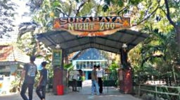 Surabaya Night Zoo Sempat Tak Buka Lantaran Sepi Pengunjung