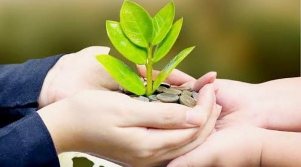 LindungiHutan Kembali Inisiasikan Program Rutin Sedekah Pohon di Bulan Ramadan