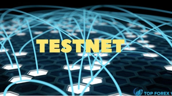 Webb Meluncurkan Testnet Jaringan TangleMerintis Masa Depan Aplikasi Privat dan Terdesentralisasi
