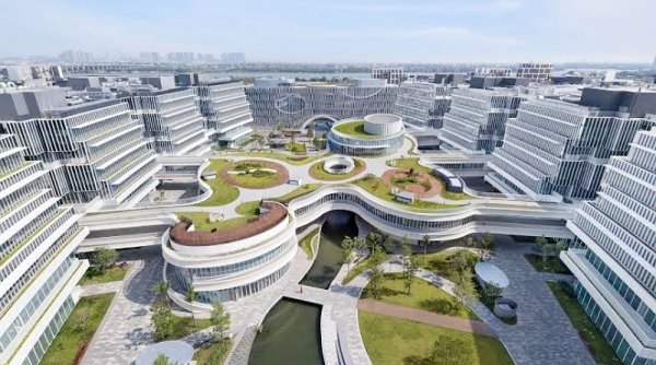 Biro Pendidikan Hong Kong Buka Pintu untuk Mahasiswa Harvard yang Terusir