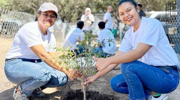 Jaga Kelestarian Lingkungan, PLN Dukung Gerakan Gotong Royong Boyong Pohon Bersama BUMN