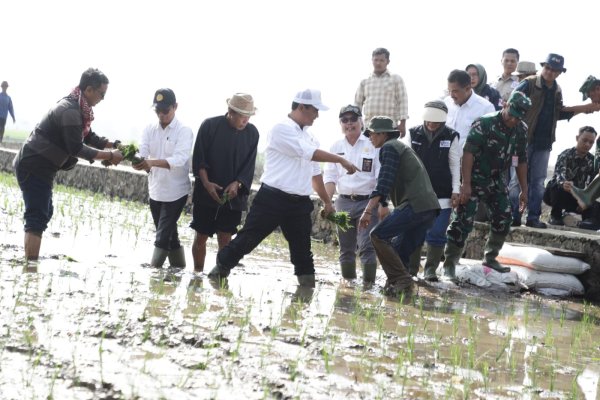 Mentan Sebut Musim El Nino Gorila Sangat Dahsyat : Tekan Impor Sekarang Juga !