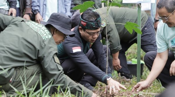 Kang DS : Dengan Nanam Pohon Kita Melindungi Lingkungan dan Lingkungan Bisa Melindungi Kita