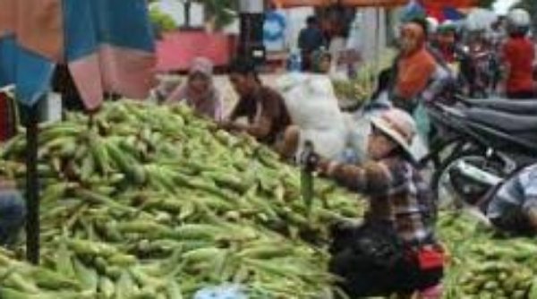 Jelang Malam Tahun Baru Harga Arang dan Jagung Melonjak