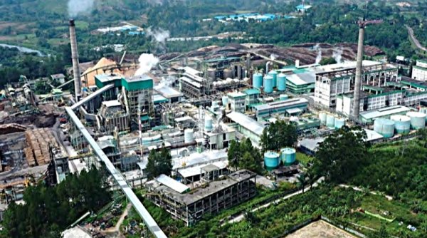 Verifikasi Data Perlu Dilakukan untuk Mengenali Penerima Manfaat Industri Pulp