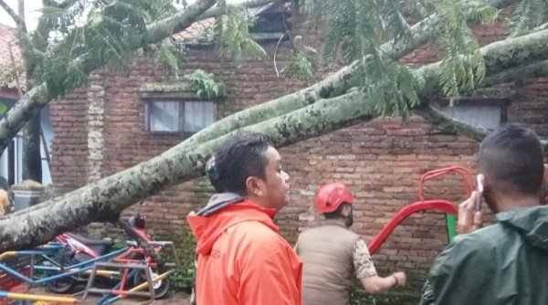 BPBD Kabupaten Bandung Gerak Cepat Tangani Pohon Tumbang dan Banjir