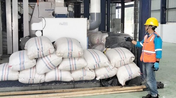 Disuplai Listrik PLN, Pabrik Jagung Milik Pemprov Sumbar Kini Mampu Produksi Hingga 50 Ton per Hari