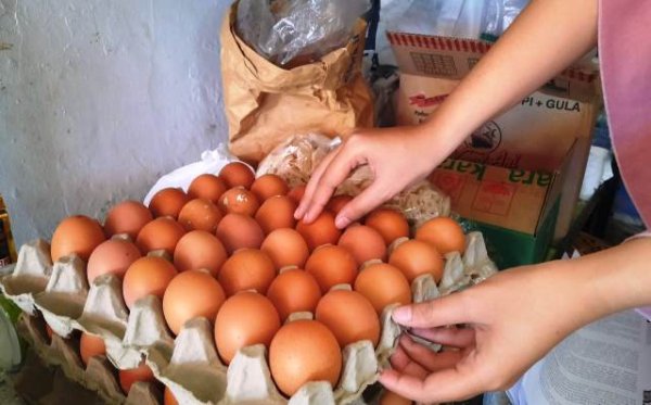 Harga Telur Ayam di Sumedang Sudah kembali Normal