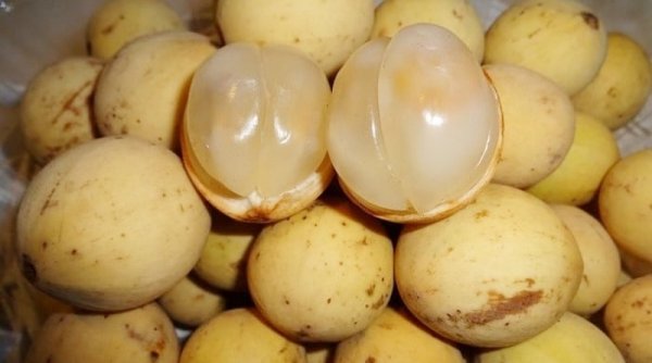 Banyak Dijual di Pasar, Khasiat Buah Duku untuk Tubuh