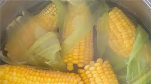 Jangan Buang Air Rebusan Jagung! Berikut Manfaat Air Rebusan Jagung