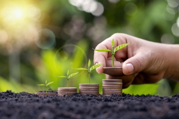 Investasi Masa Depan: Pilihan yang Menguntungkan