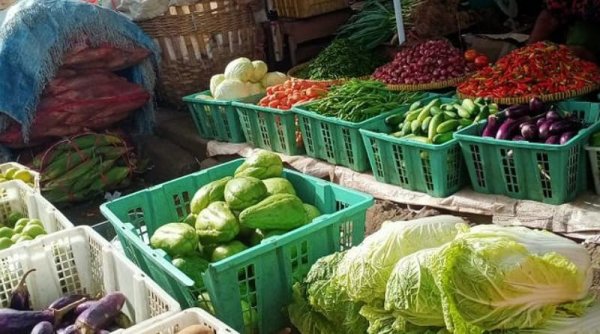 Jangan Hanya Dicuci Air Keran, Ini Cara Hilangkan Pestisida pada Sayuran