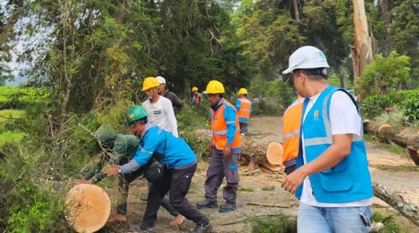 Antisipasi Cuaca Ekstrem, PLN UP3 Majalaya Bersinergi Pelihara Penyulang Pangalengan - Cukul