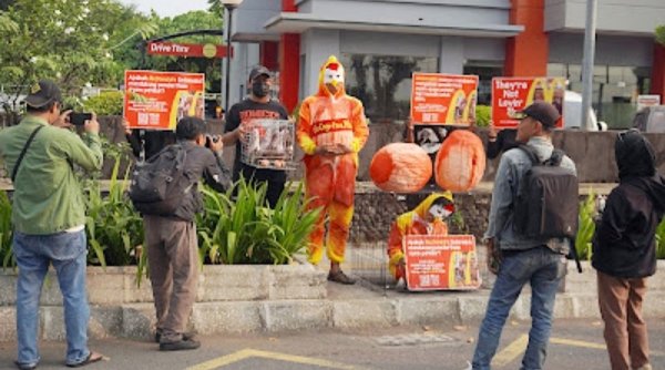 Animal Friends Jogja Beri McDonald’s Telur Berdarah karena Tak Terbitkan Komitmen Bebas Sangkar