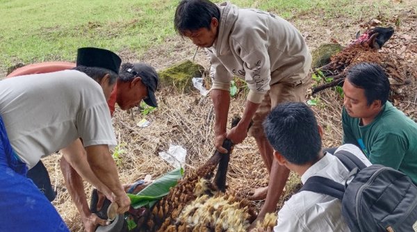 SMK Nahdlatul 'Ulama Krangkeng Salurkan Daging Kurban