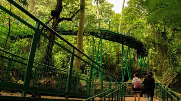 Hutan Kota Babakan Siliwangi, Lebih dari Sekedar Tempat Olahraga dan Santai