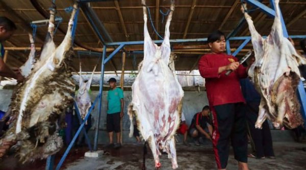 Tiga Larangan Bagi Orang yang Hendak Berkurban di Hari Raya Idul Adha 2024